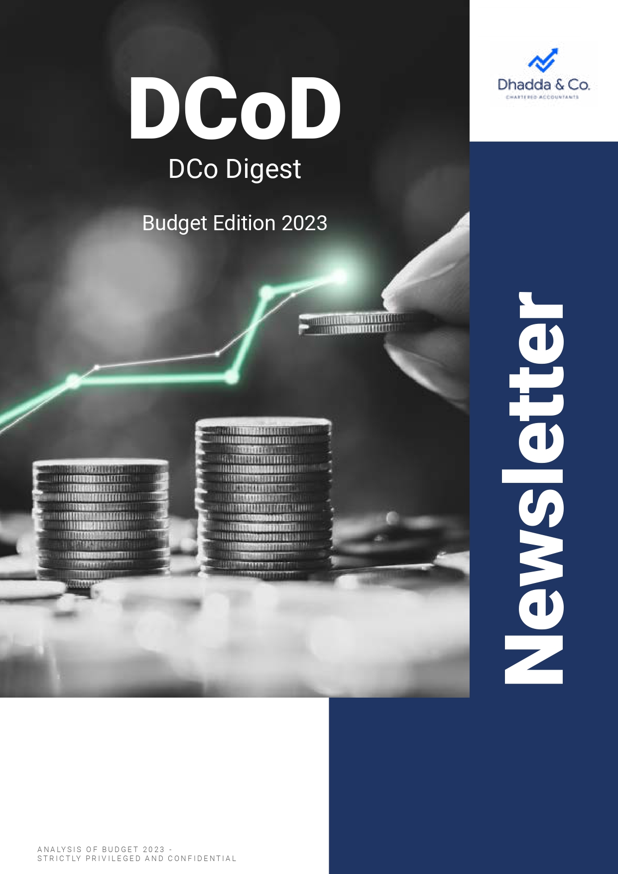 Read more about the article DCo Digest – Budget Edition 2023